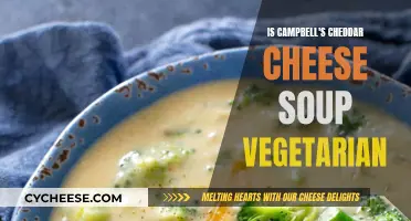 Campbell's Cheddar Cheese Soup: Vegetarian or Not?