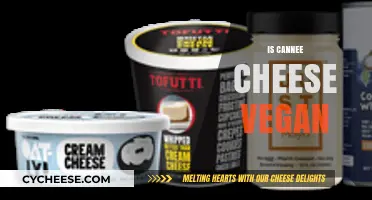 Is Canned Cheese Vegan? Exploring Ingredients and Ethical Alternatives