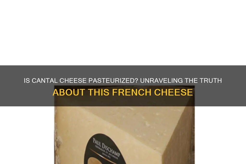 is cantal cheese pasturized