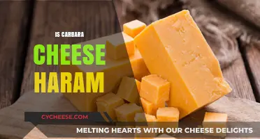 Carbarara Cheese: Halal or Haram?
