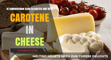 Unveiling Cheese Additives: Carrageenan, Agar, Alginates, and Beta Carotene Explained