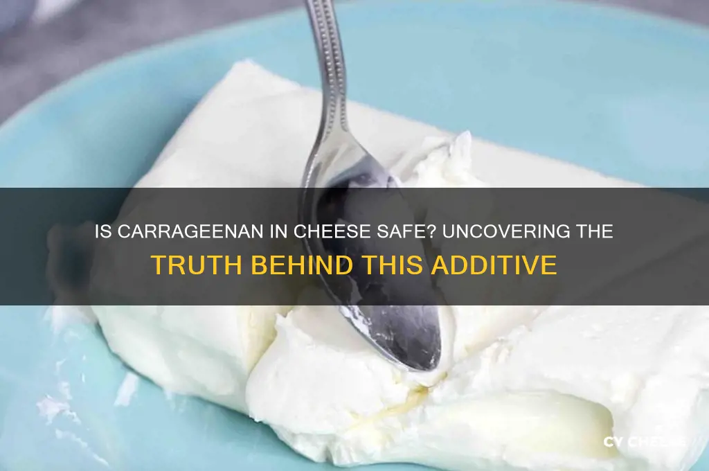 is carrageenan in cheese