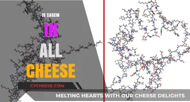 Is Casein in All Cheese? Uncovering the Truth About Cheese Composition