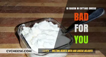 Is Casein in Cottage Cheese Harmful? Uncovering the Truth