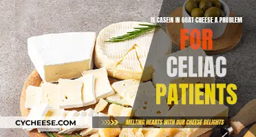 Goat Cheese Casein: A Concern for Celiac Patients?