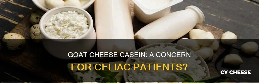 is casein in goat cheese a problem for celiac patients