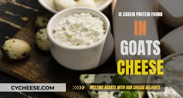 Casein Protein: Unveiling its Presence in Goat's Cheese