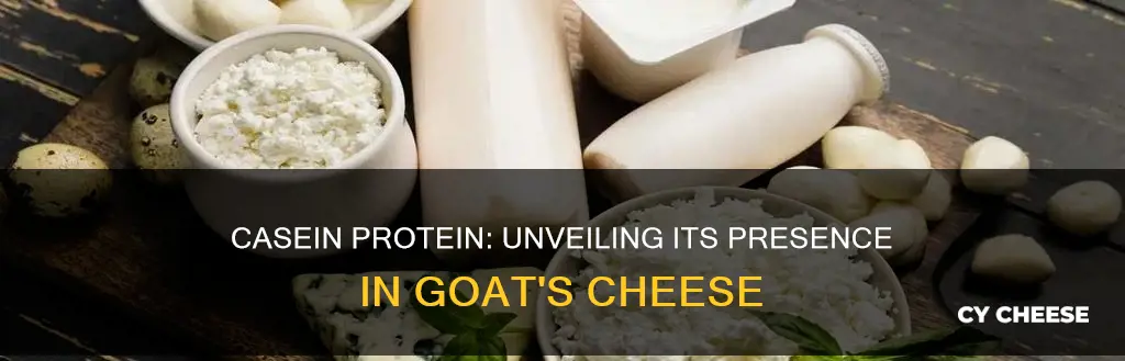 is casein protein found in goats cheese