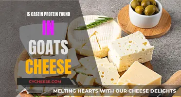 Goat Cheese: A Rich Source of Casein Protein