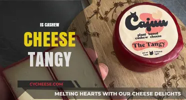 Is Cashew Cheese Tangy? Exploring Its Flavor Profile and Uses