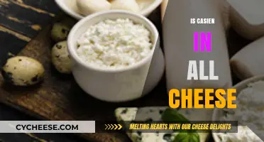 Does All Cheese Contain Casein? Uncovering the Truth About Dairy