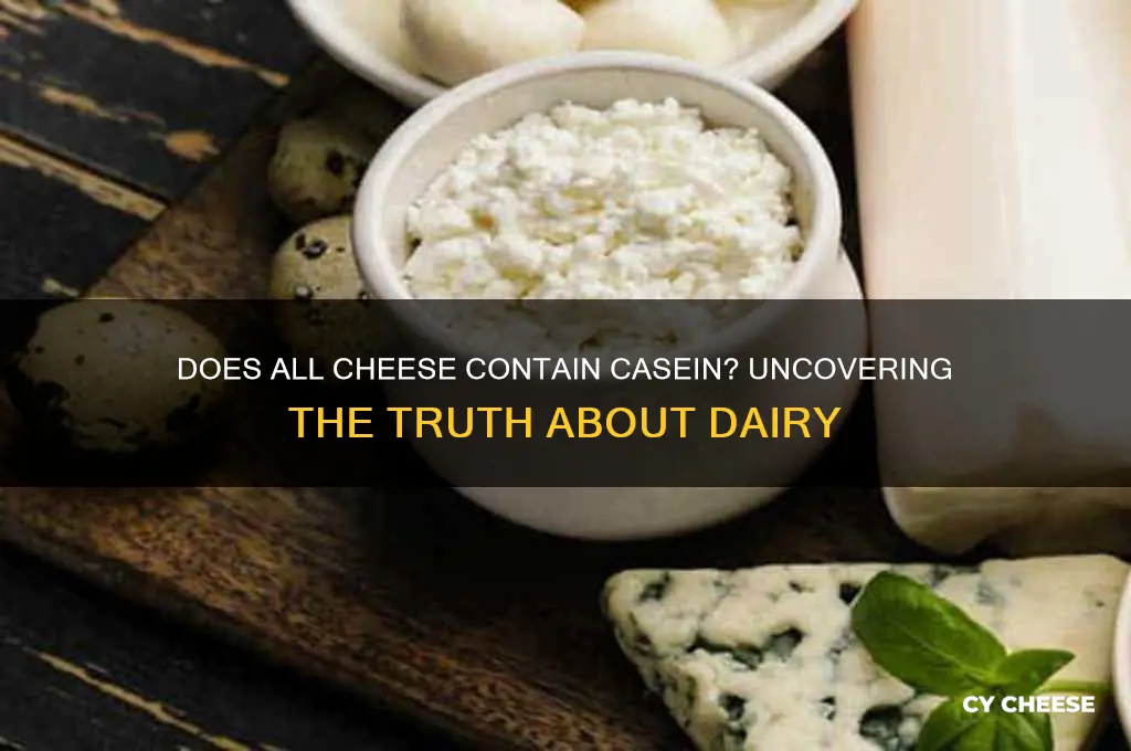 is casien in all cheese