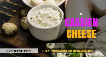 Is Cassien Cheese Real? Unraveling the Mystery of This Unique Dairy