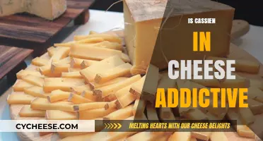 Is Cassien in Cheese Addictive? Unraveling the Science Behind the Craving