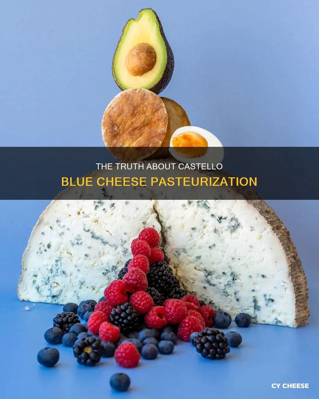 is castello blue cheese pasteurised