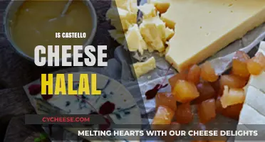 Is Castello Cheese Halal? Exploring Ingredients and Certification