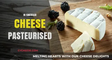 Is Castello Cheese Pasteurised? Uncovering the Truth About Its Production