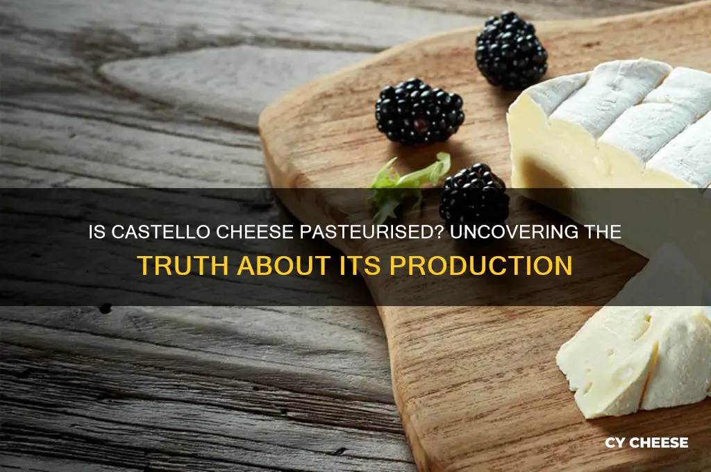is castello cheese pasteurised