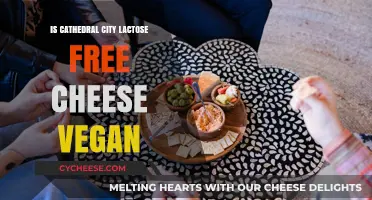 Lactose-Free Cheese: Vegan-Friendly or Not?