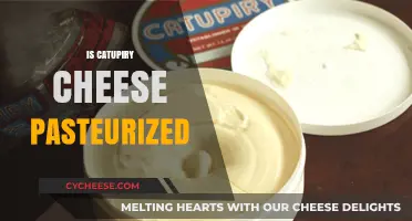 Is Catupiry Cheese Pasteurized? A Complete Guide to Safety