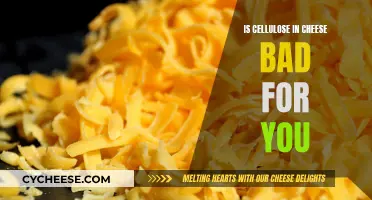 Cellulose in Cheese: Harmful or Harmless?