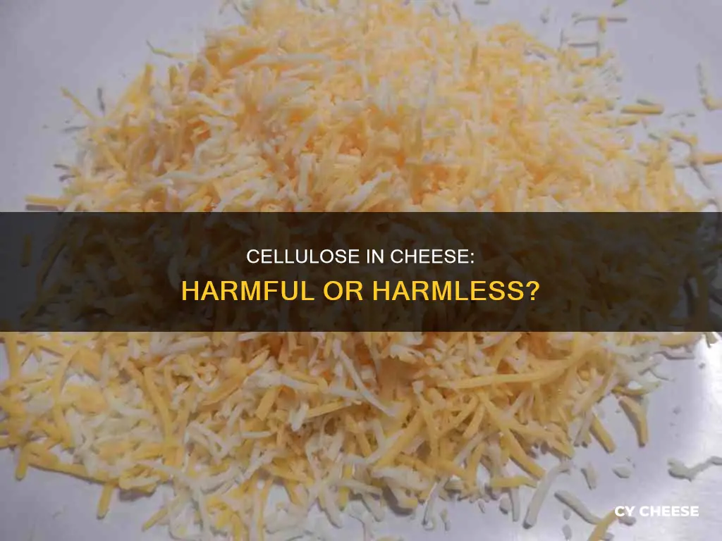 is cellulose in cheese bad for you