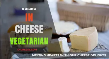 Is Cellulose in Cheese Vegetarian? Unraveling the Mystery for Vegans