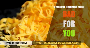 Cellulose in Parmesan Cheese: Is It Harmful?