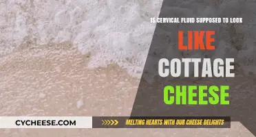 Understanding Cervical Fluid: Is Cottage Cheese-Like Appearance Normal?