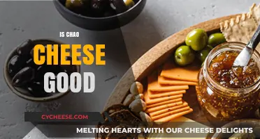 Chao Cheese: Delicious or Overhyped?
