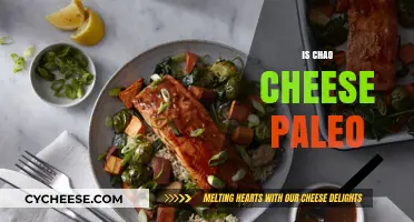 Is Chao Cheese Paleo? A Dairy-Free Vegan Cheese Analysis