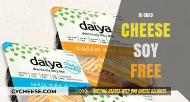 Chao Cheese: Soy-Free Delicacy
