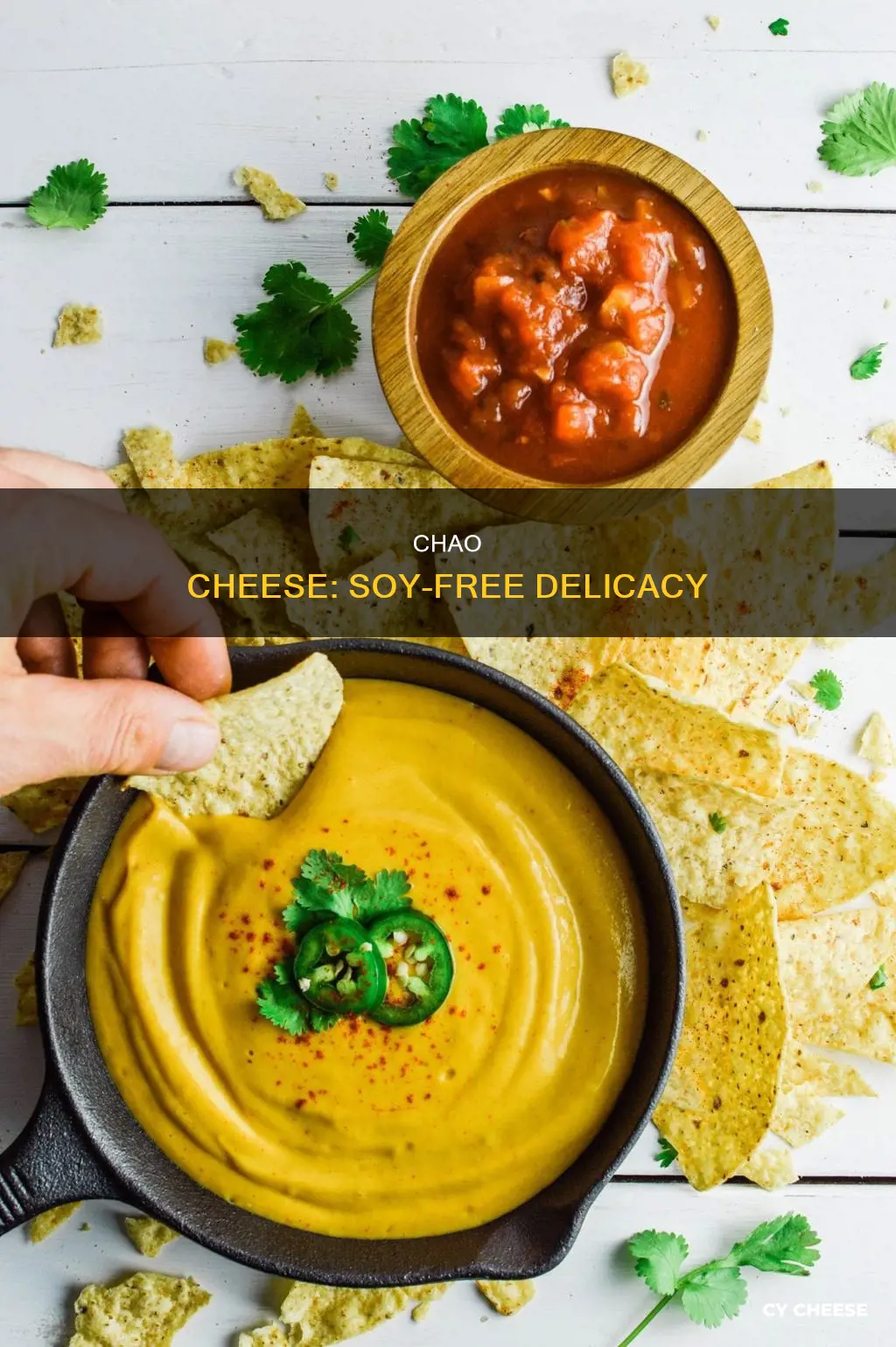 is chao cheese soy free