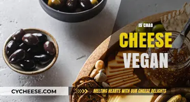 Is Chao Cheese Vegan? Unraveling the Plant-Based Mystery