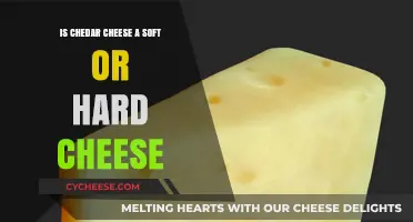 Cheddar Cheese: Soft or Hard? Unraveling the Texture Mystery