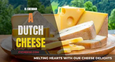 Unraveling Cheddar's Dutch Heritage: A Cheesy Journey