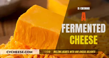 The Cheesy Journey: Uncovering Cheddar's Fermented Secrets