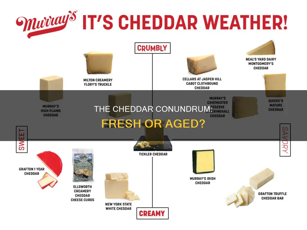 is cheddar a fresh cheese