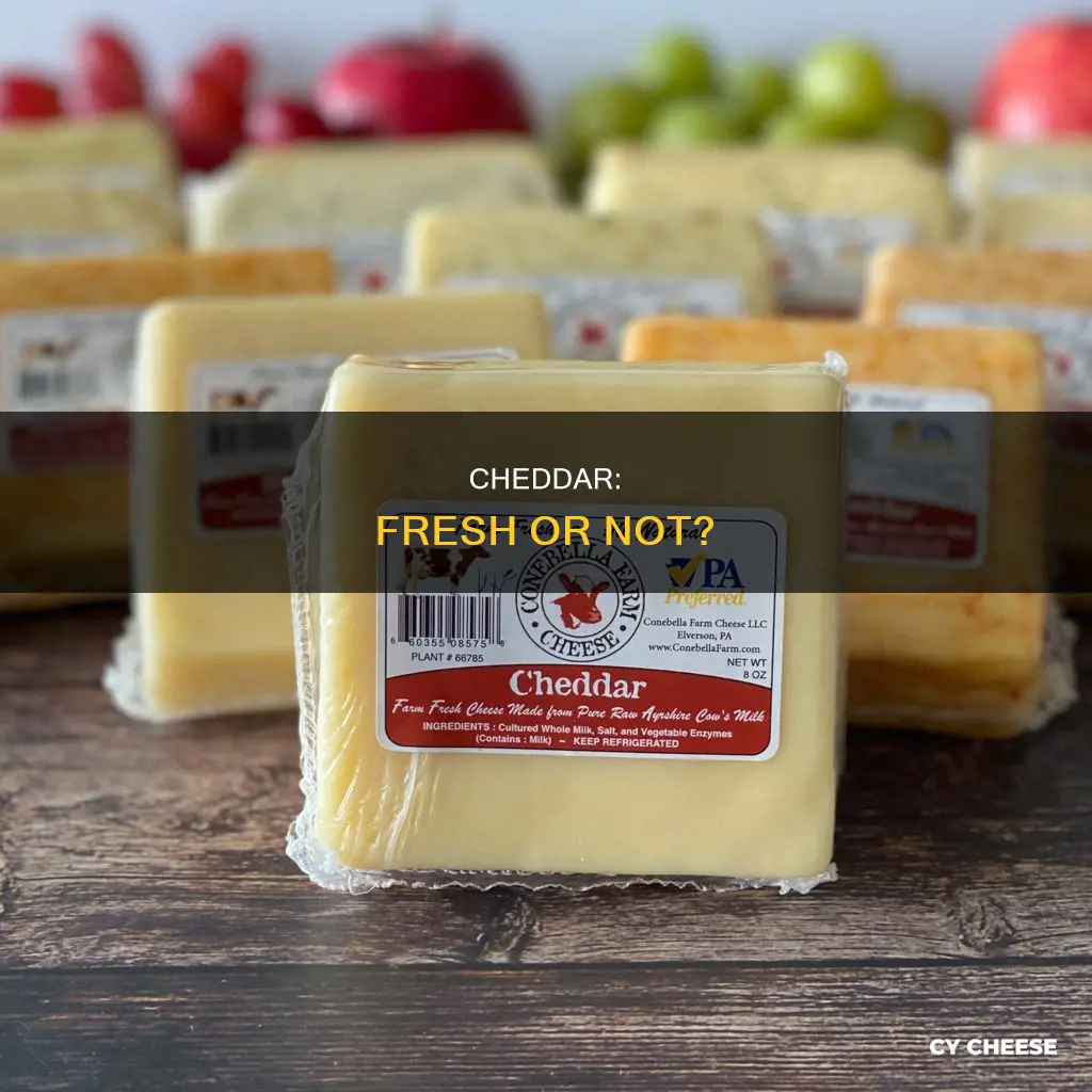 is cheddar a fresh cheese