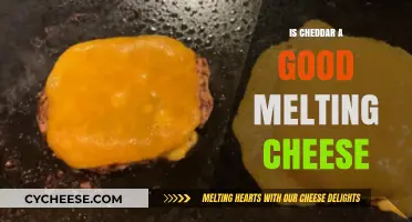 Cheddar Cheese: Melting Point and Taste Perfection