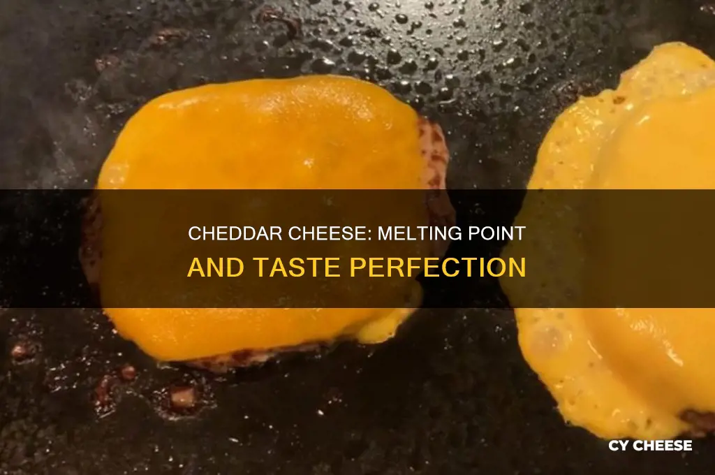 is cheddar a good melting cheese