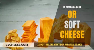 Unraveling Cheddar's Mystery: Hard or Soft, Which is It?