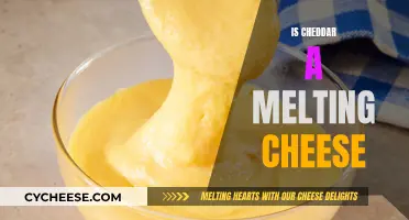 The Ultimate Cheddar Melting Mystery: Unraveling the Truth