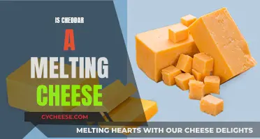 Cheddar Cheese Melting: What's the Verdict?