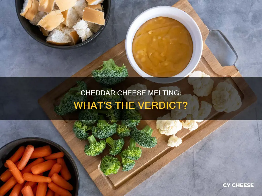 is cheddar a melting cheese