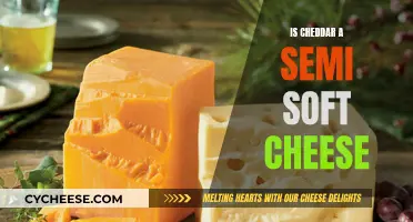 Unraveling Cheddar's Softness: A Cheese Connoisseur's Guide