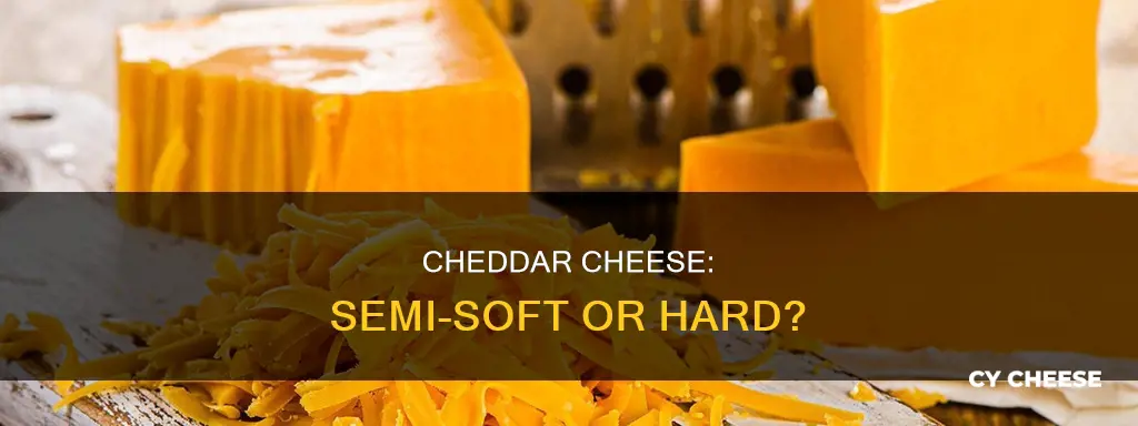 is cheddar a semi soft cheese