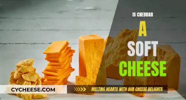 The Cheddar Conundrum: Soft or Hard, That's the Question