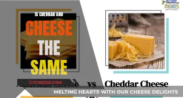 Unraveling the Cheddar-Cheese Conundrum: Are They the Same?