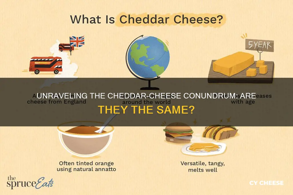 is cheddar and cheese the same